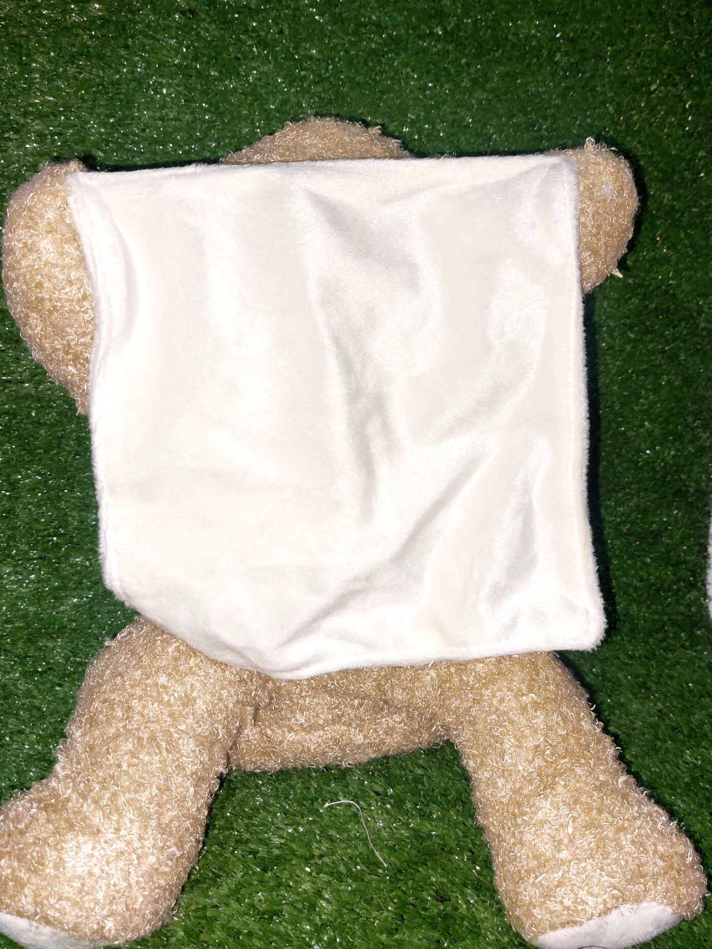 Peluche juega al escondite