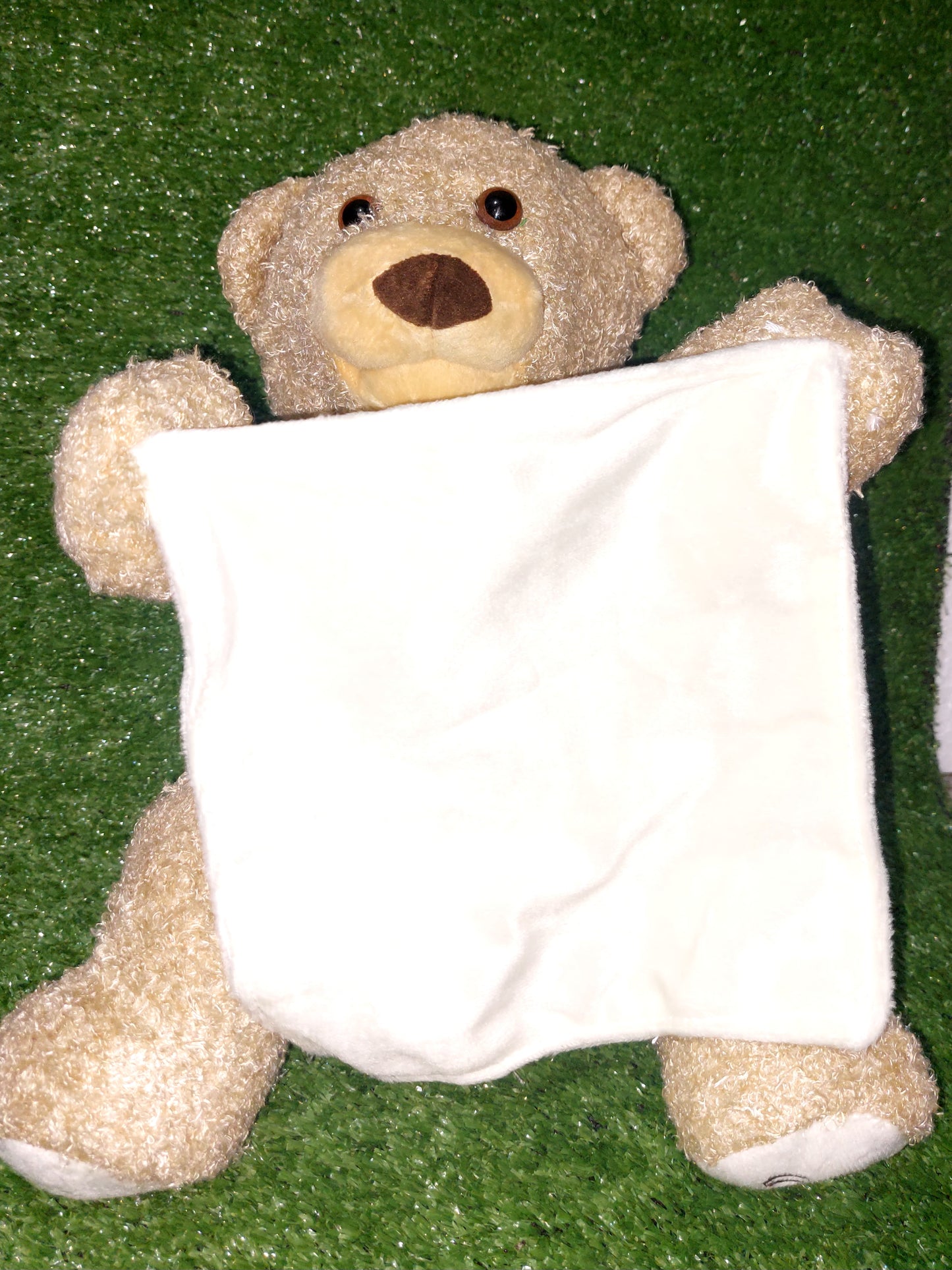 Peluche juega al escondite